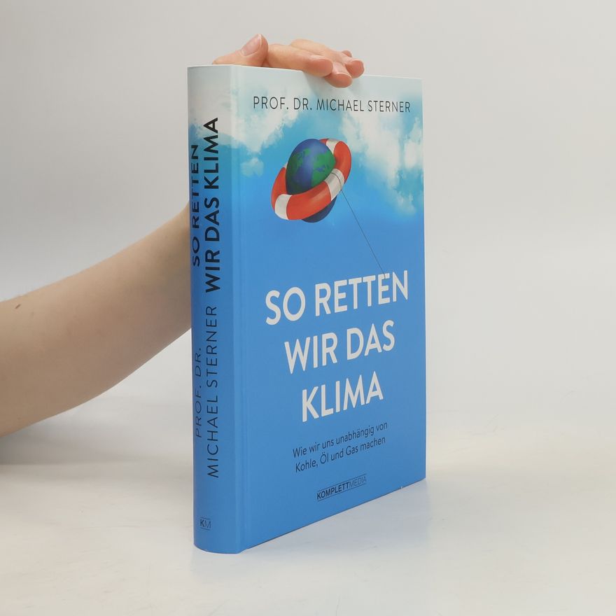 Michael Sterner So retten wir das Klima