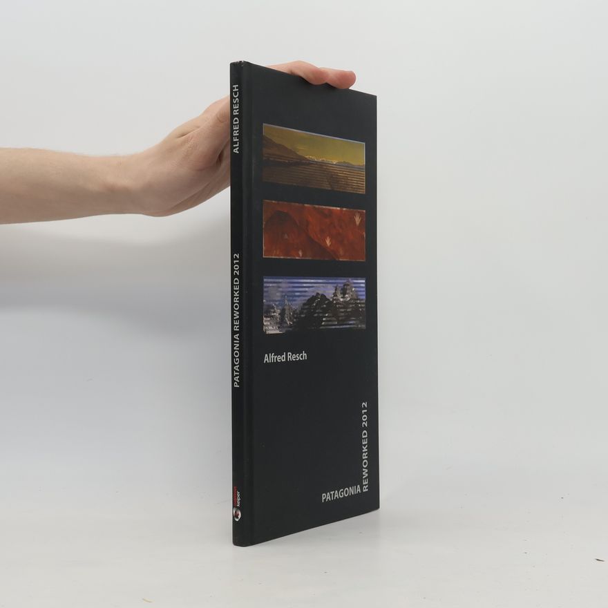 Santiago Bardotti Patagonia Reworked 2012
