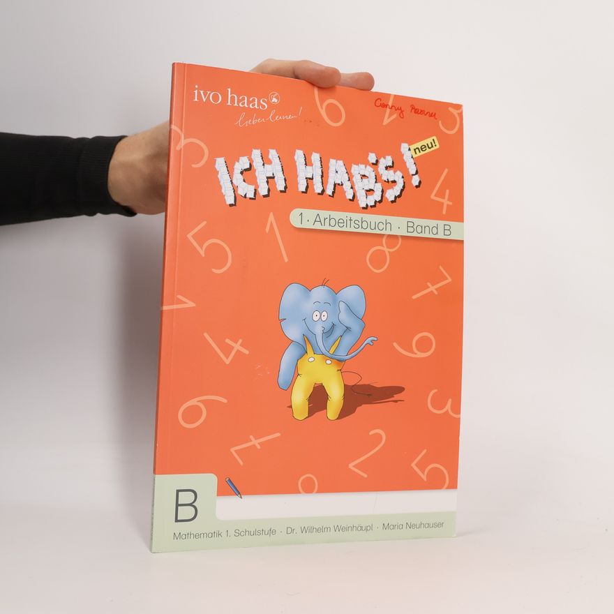 Ivo Haas Ich hab's! 1. Arbeitsbuch. Band B