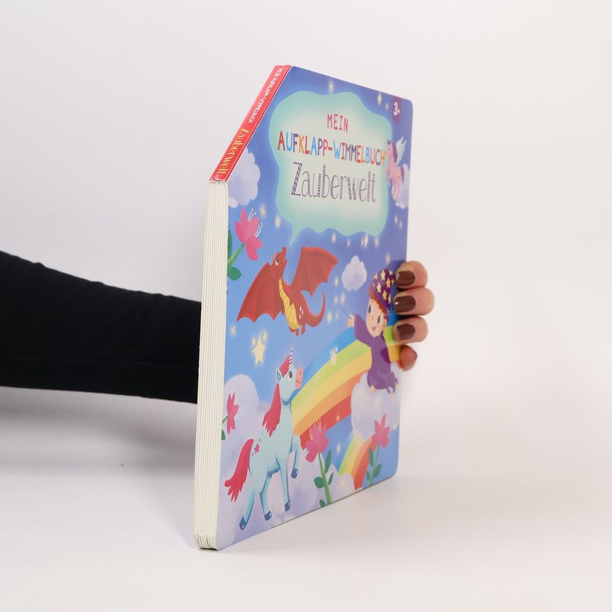 Kolektiv autorů Das Aufklapp-Wimmelbuch