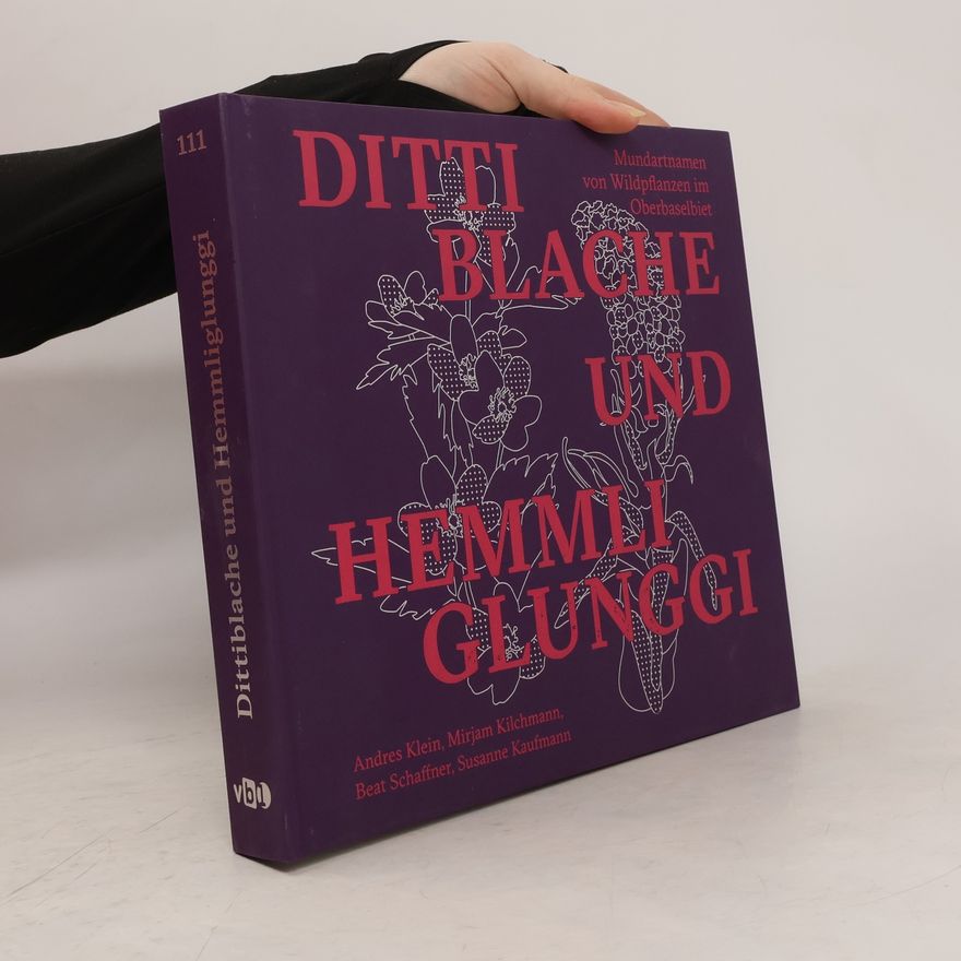 Susanne Kaufmann-Strübin Dittiblache und Hemmliglunggi