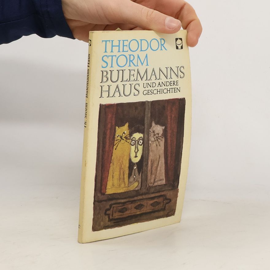 Hans Theodor Woldsen Storm Bulemanns Haus Und Andere Geschichten