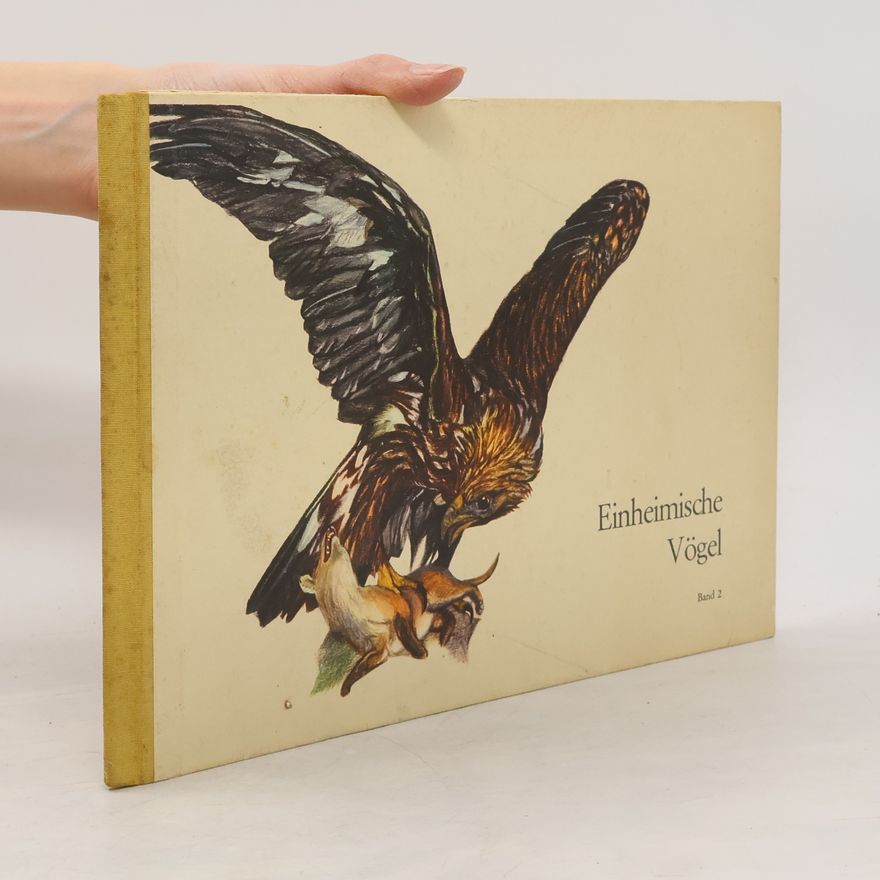 Stephan Hüttenmoser Einheimische Vögel 2
