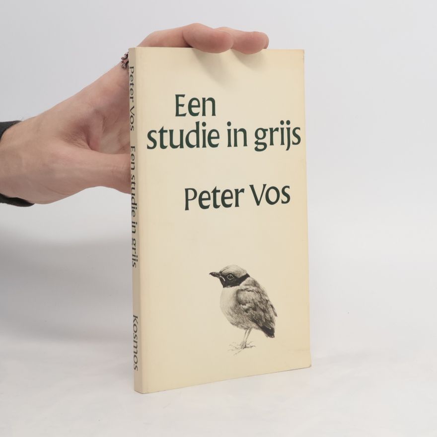 Petrus Antonius Carolus Augustinus Vos Een studie in grijs