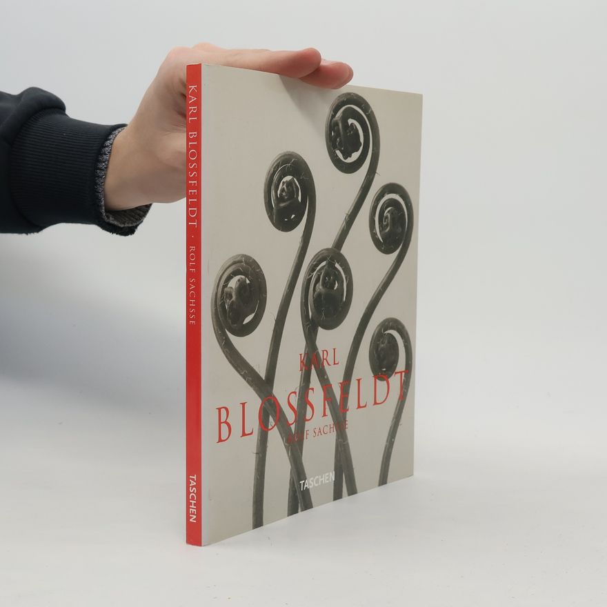 Karl Blossfeldt Photographs 1865 - 1932