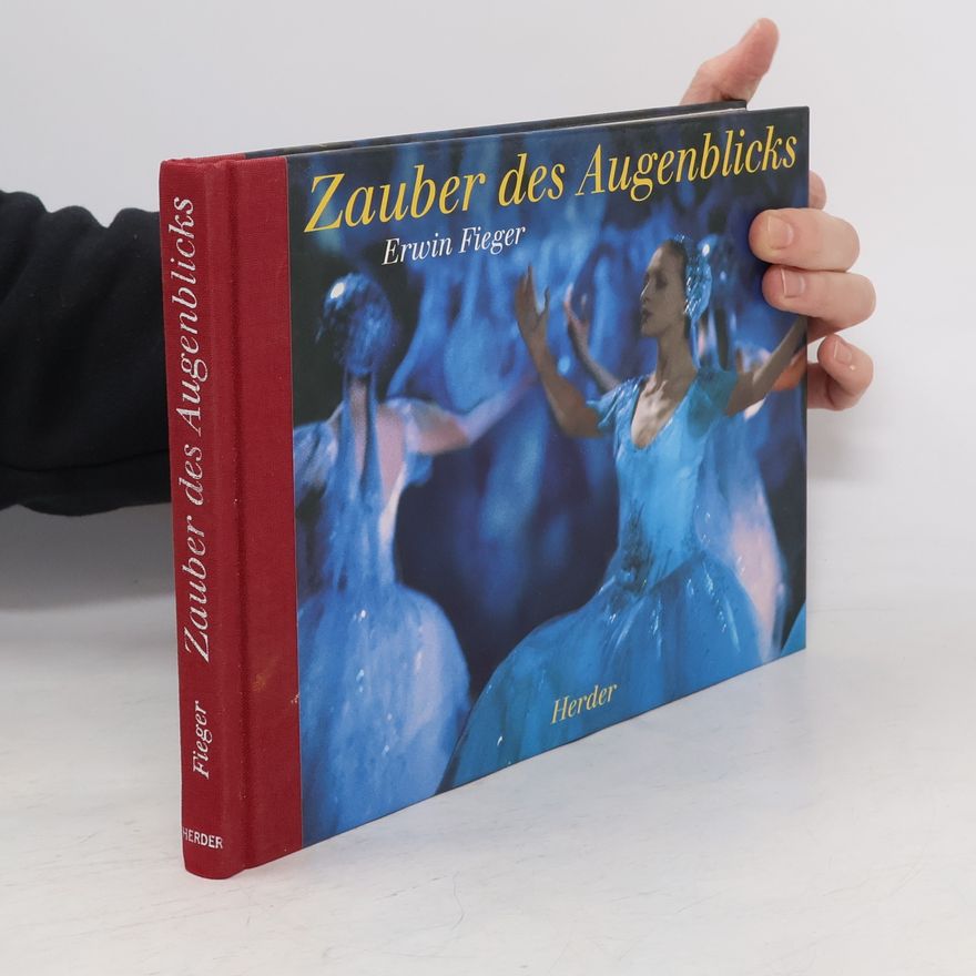 Erwin Fieger Zauber des Augenblicks