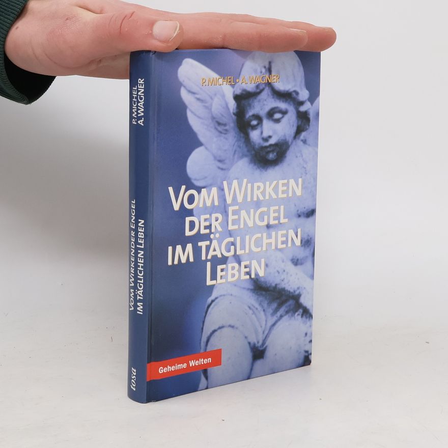 Peter Michel Vom Wirken der Engel im täglichen Leben