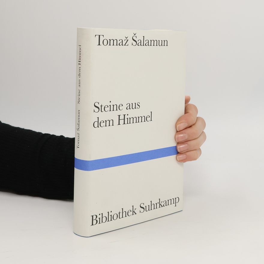Tomaž Šalamun Steine aus dem Himmel
