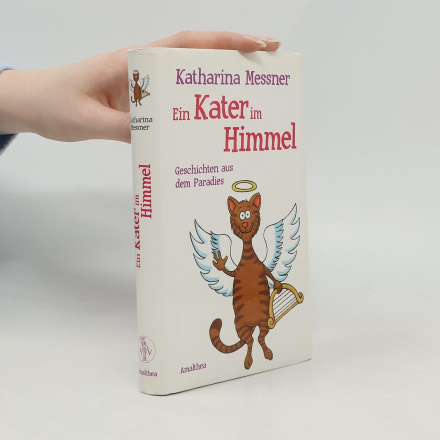 Katharina Messner Ein Kater im Himmel