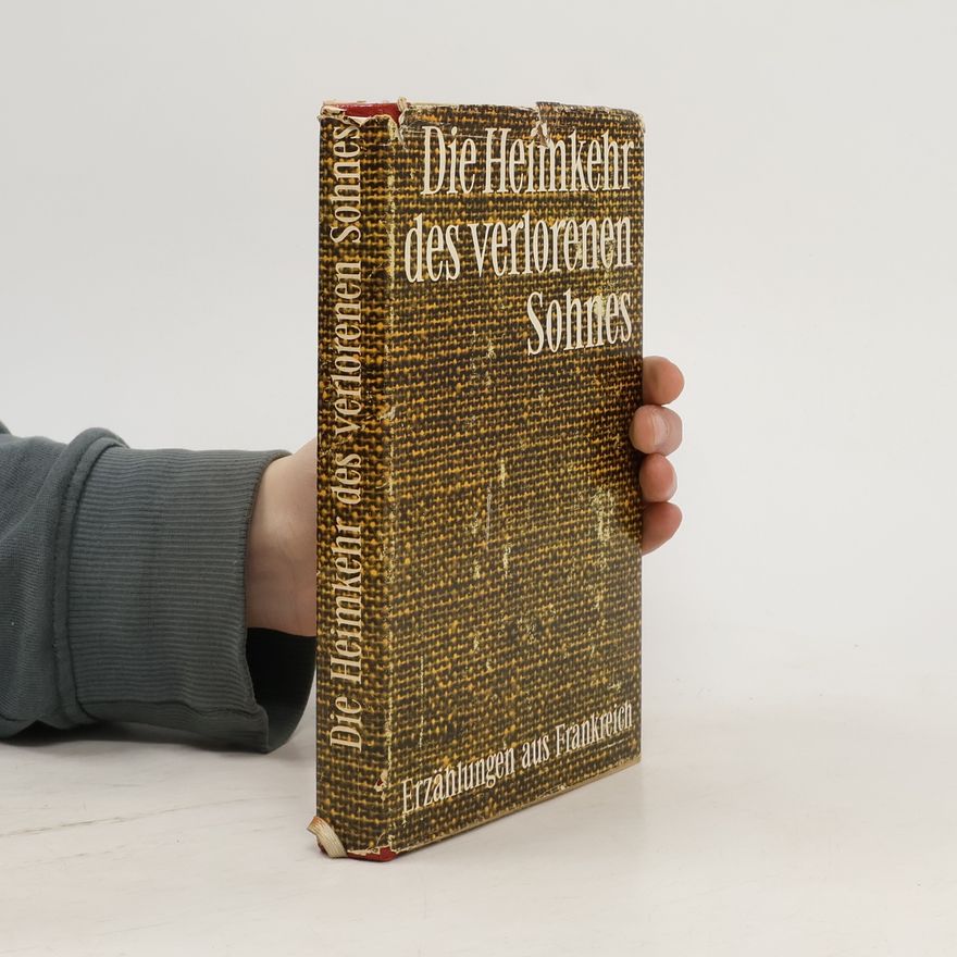Hans Eder Die Heimkehr des verlorenen Sohnes