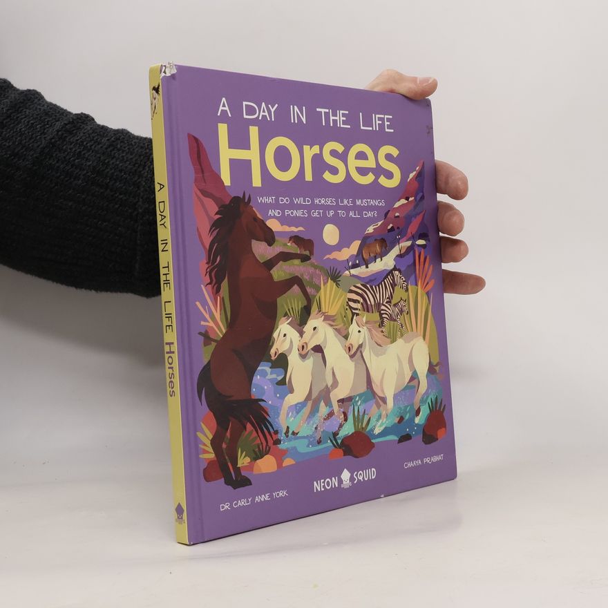 Anne Brancky Horses (A Day in the Life)