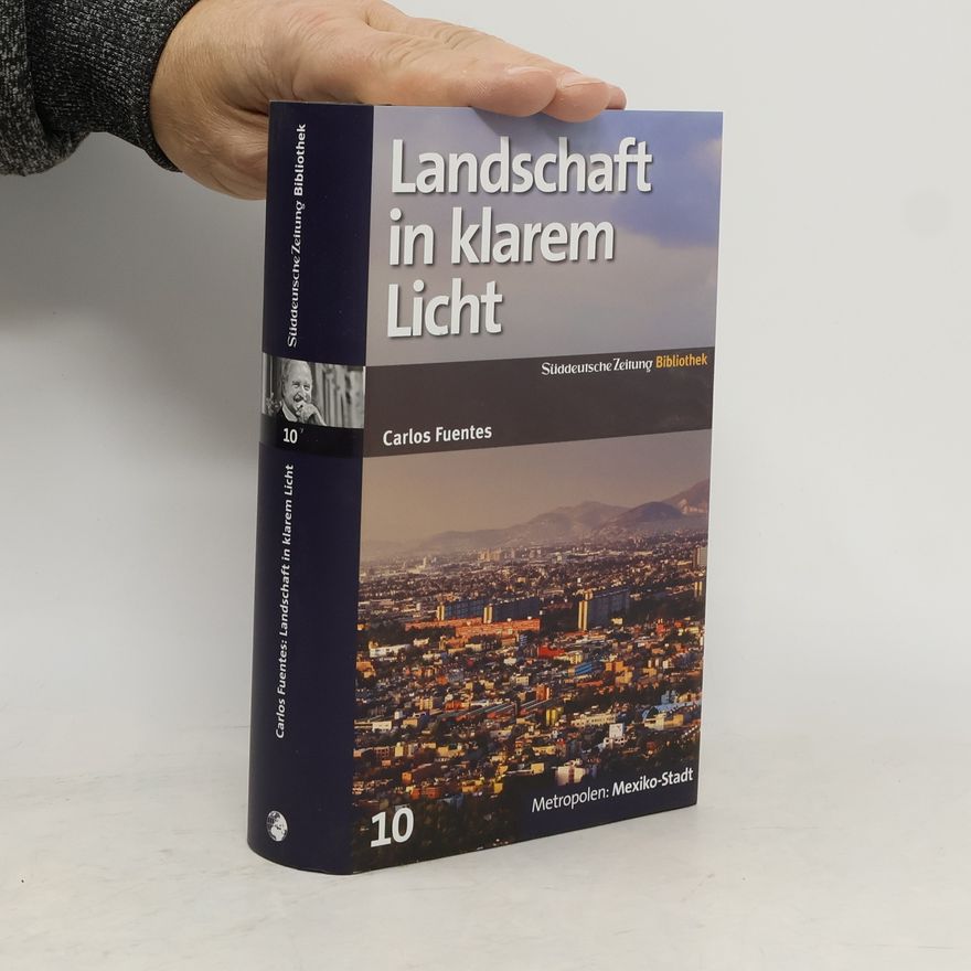 Carlos Fuentes Landschaft in klarem Licht