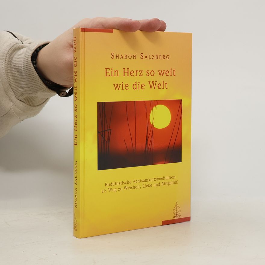 Sharon Salzberg Ein Herz so weit wie die Welt