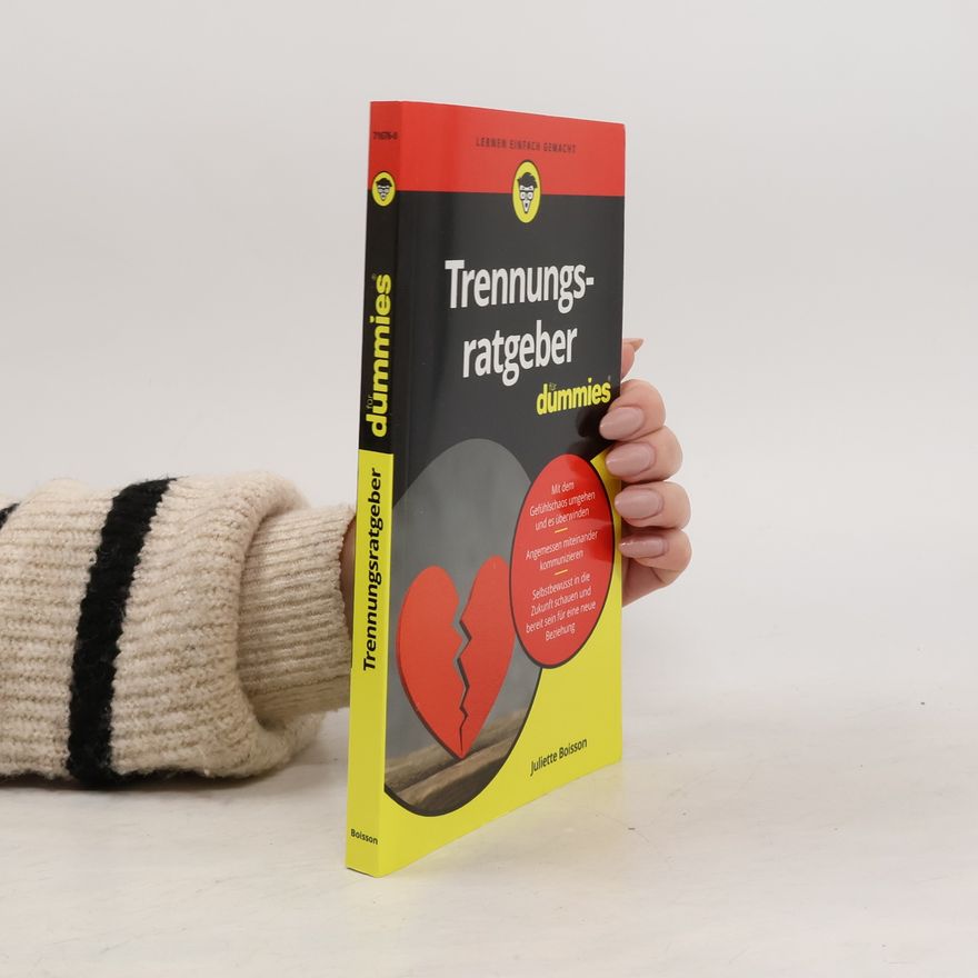 Juliette Boisson Trennungsratgeber für Dummies