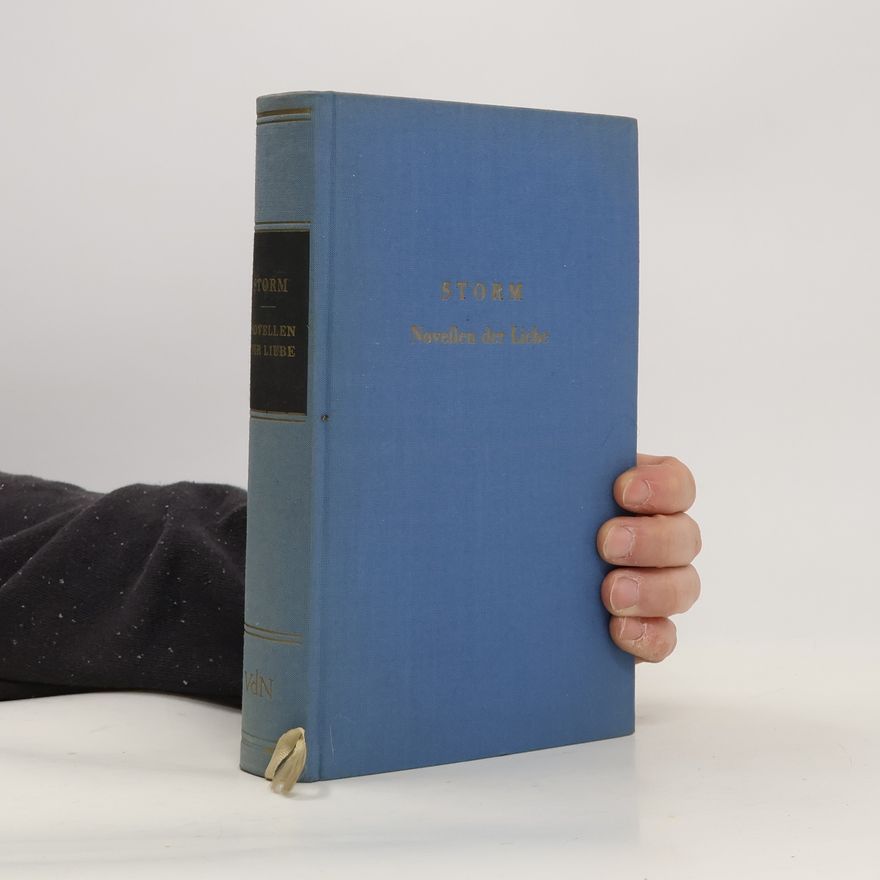 Theodor Storm Novellen der Liebe