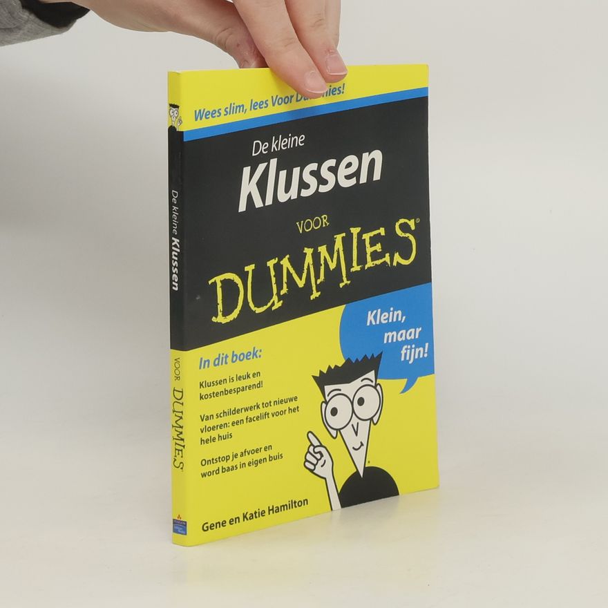 Richard Rasker De kleine Klussen voor Dummies