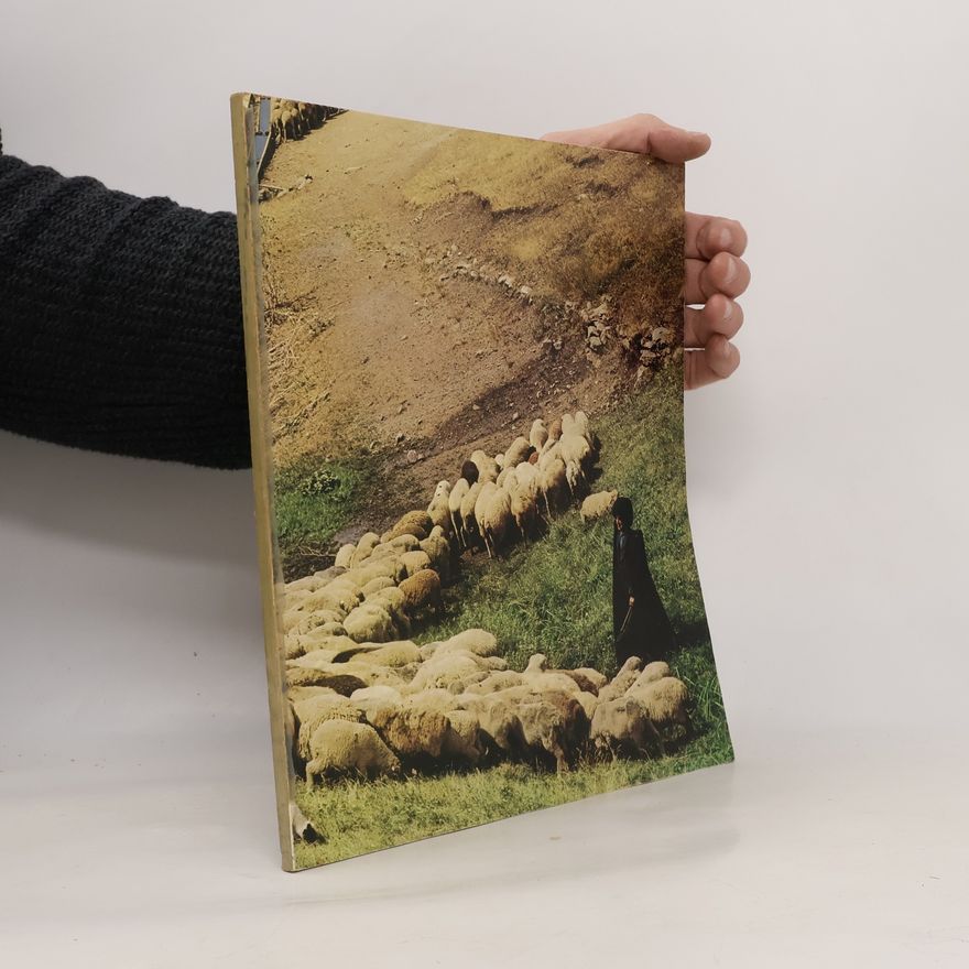 Collectif d'auteurs Азербайджанские ковры „АЗЕРХАЛЧА" = Azerbaijan carpets "AZERKHALCHA"