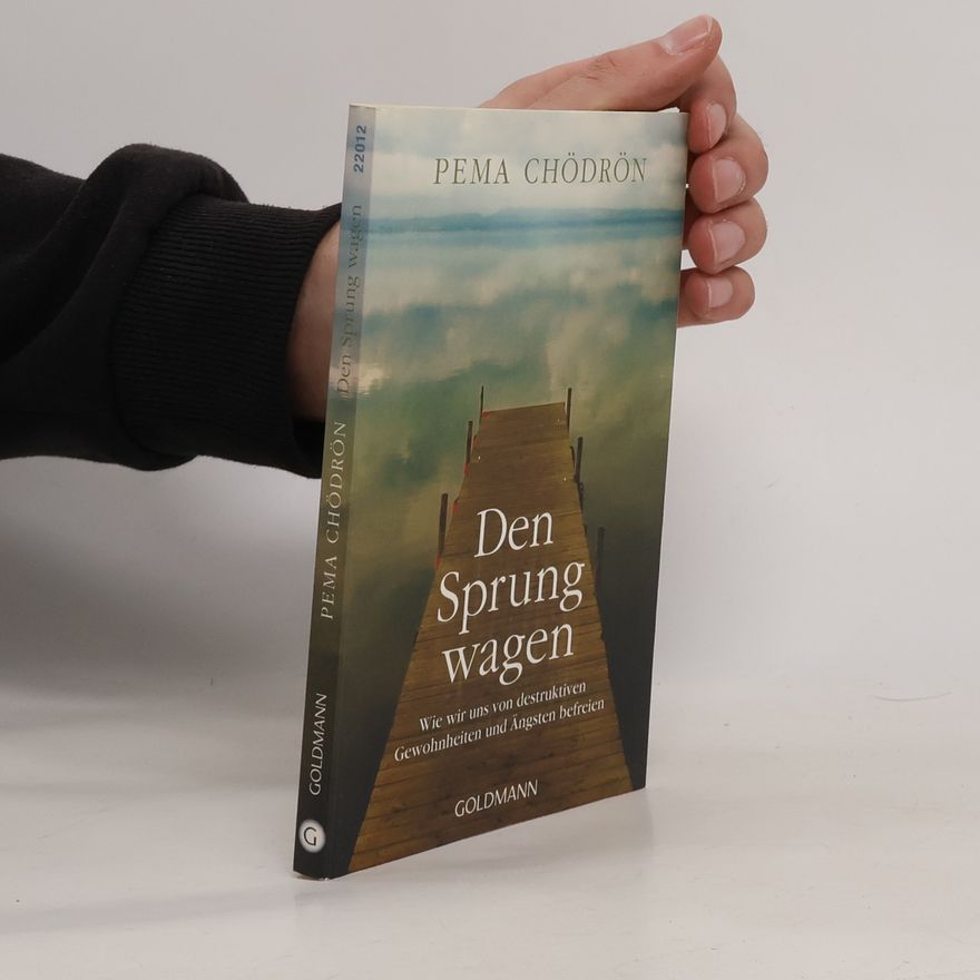 Pema Chödrön Den Sprung wagen