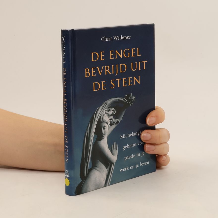 Chris Widener De engel bevrijd uit de steen