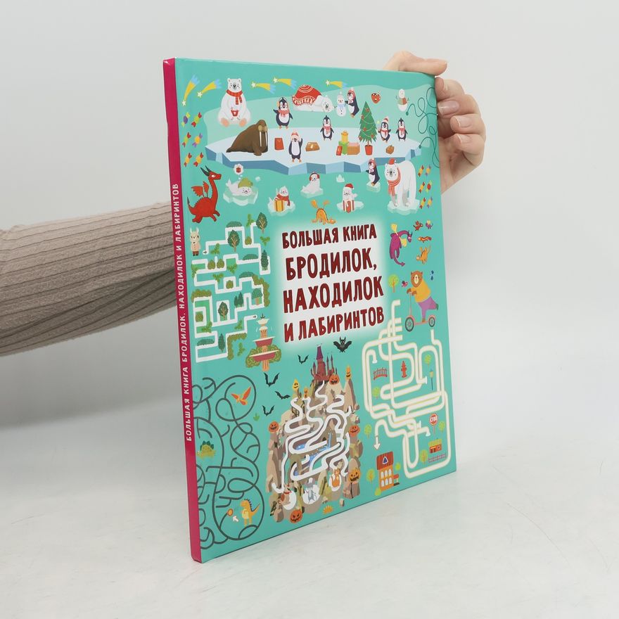Valentina Gennadevna Dmitrieva Большая книга бродилок, находилок и лабиринтов
