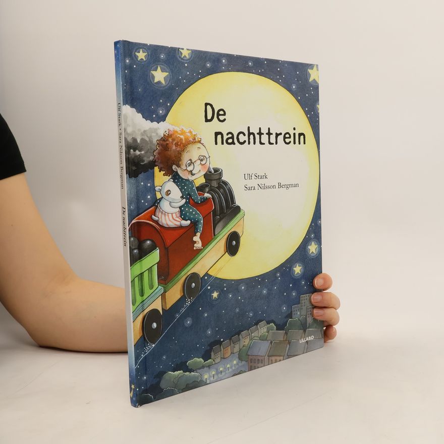 Sara Nilsson Bergman De nachttrein