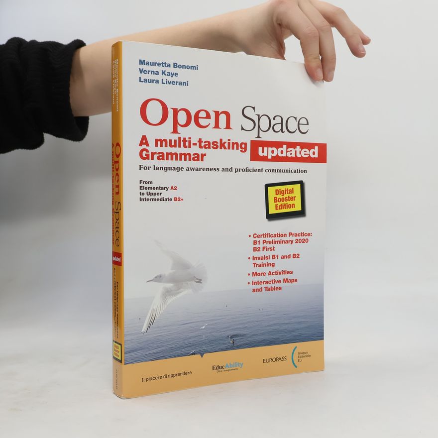 Autorenkollektiv Open Space. A multi-tasking Grammar. updated