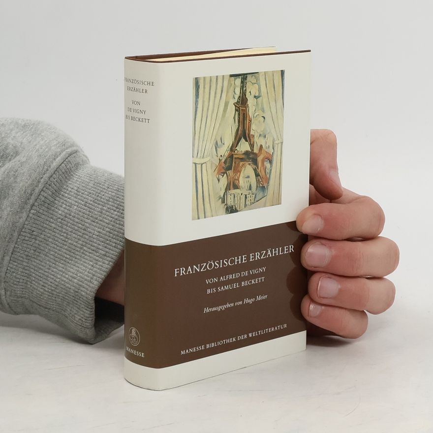 Hugo Meier Französische Erzähler 2