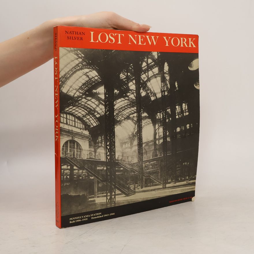 Nathan Silver Lost New York