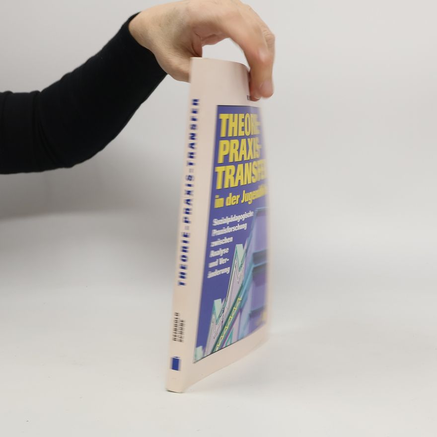 Reinhold Schone Theorie-Praxis-Transfer in der Jugendhilfe