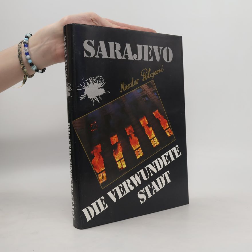 Emil Grebenar Sarajevo, die verwundete Stadt