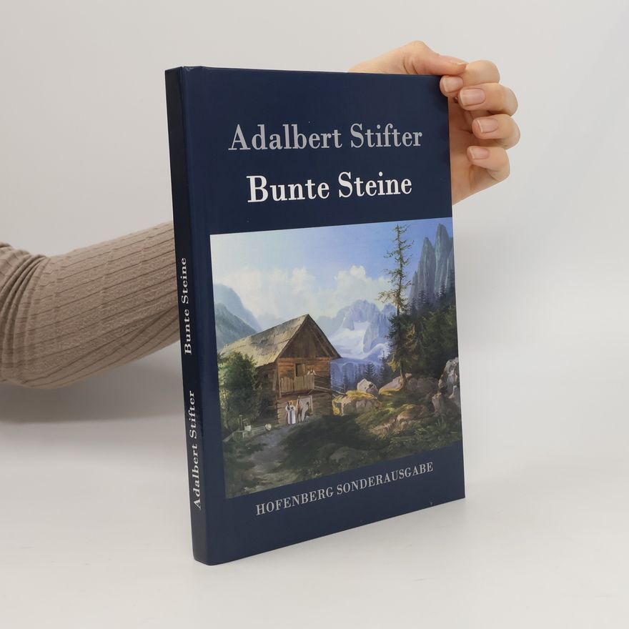 Adalbert Stifter Bunte Steine