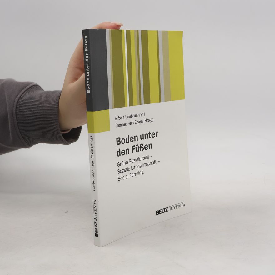 Alfons Limbrunner Boden unter den Füßen