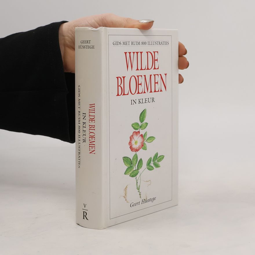 Geert Hüsstege Wilde bloemen in kleur