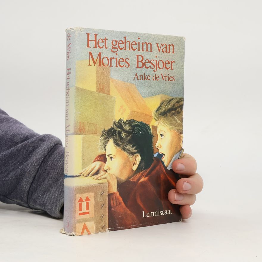 Anke de Vries Het geheim van Mories Besjoer