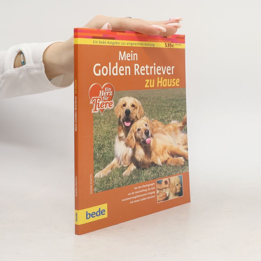Maike Harms Mein Golden Retriever zu Hause