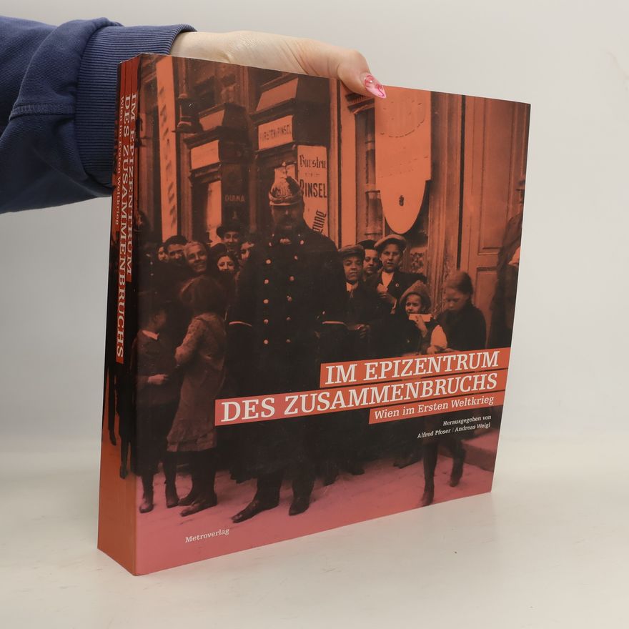 Alfred Pfoser Im Epizentrum des Zusammenbruchs