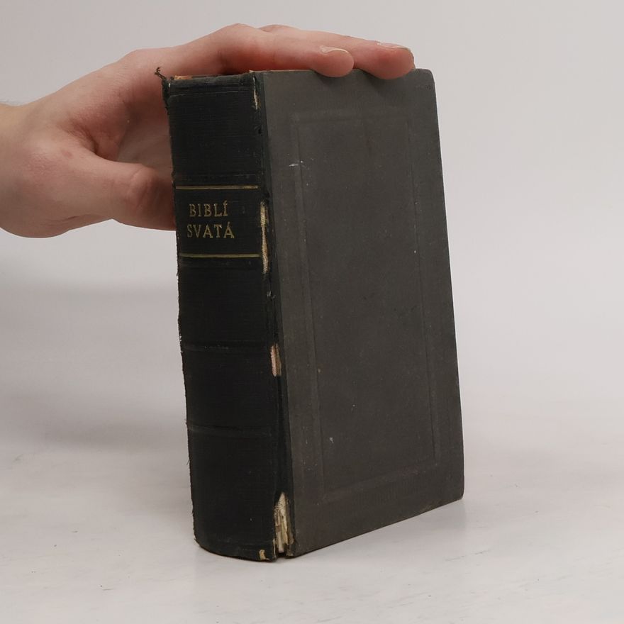 Collectif d'auteurs Biblí svatá aneb všecka svatá písma