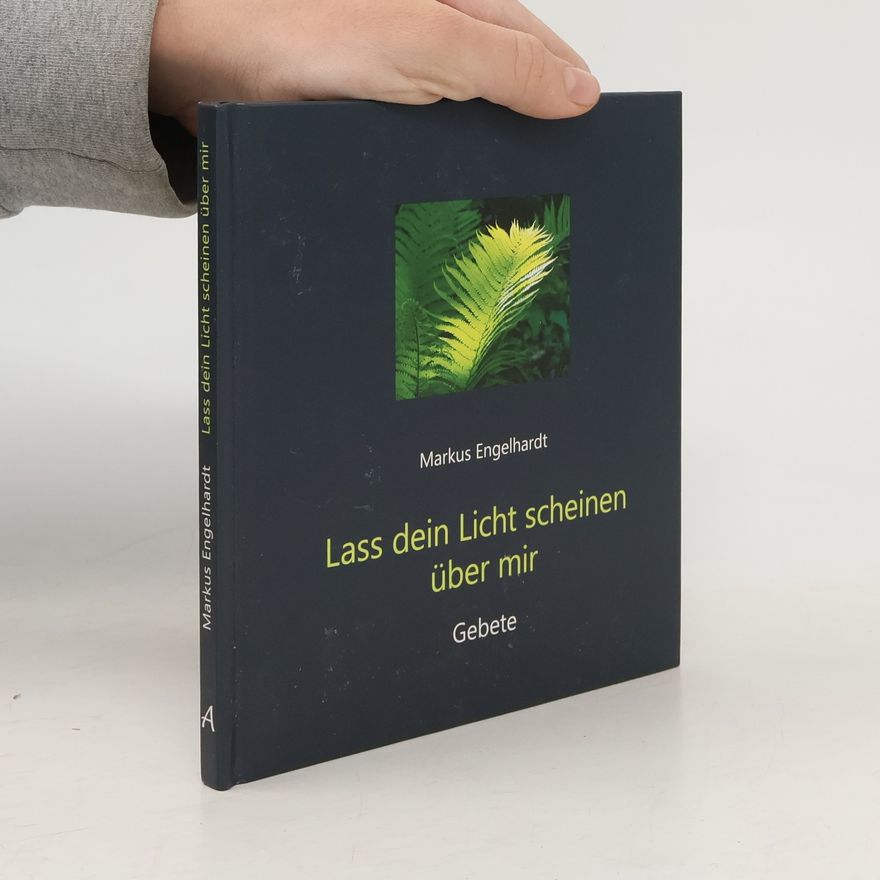 Markus Engelhardt Lass dein Licht scheinen über mir