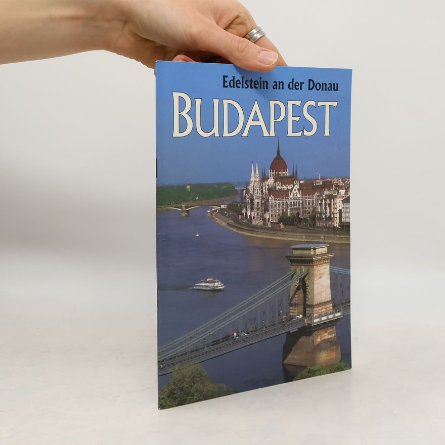 Kolektív autorov Budapest - Edelstein an der Donau