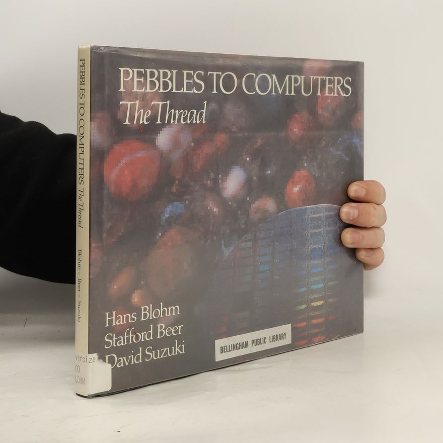 Hans Blohm Pebbles to Computers