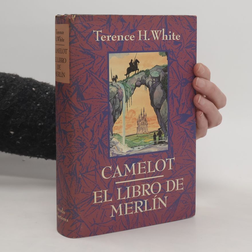 Enrique Hegenwicz Camelot. El Libro de Merlín