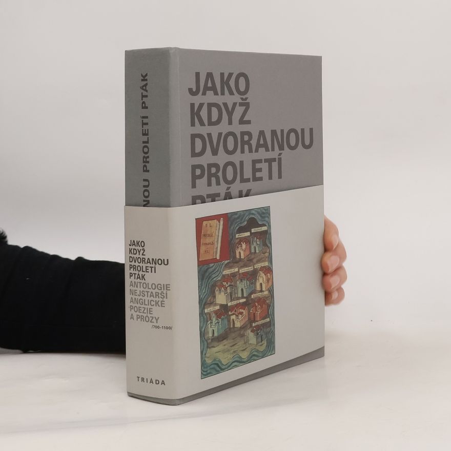Jan Čermák Jako když dvoranou proletí pták