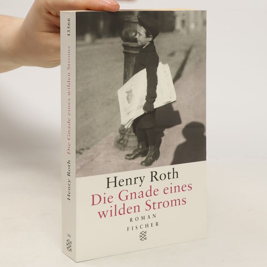 Henry Roth Die Gnade eines wilden Stroms