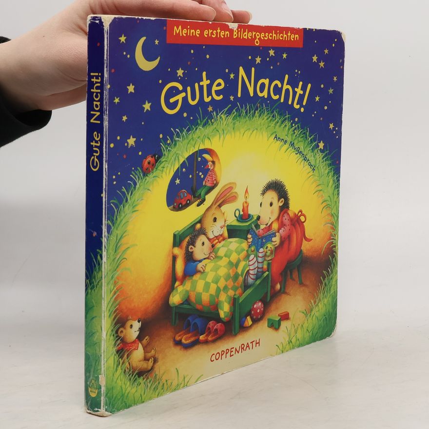 Anne Mußenbrock Meine ersten Bildergeschichten: Gute Nacht!
