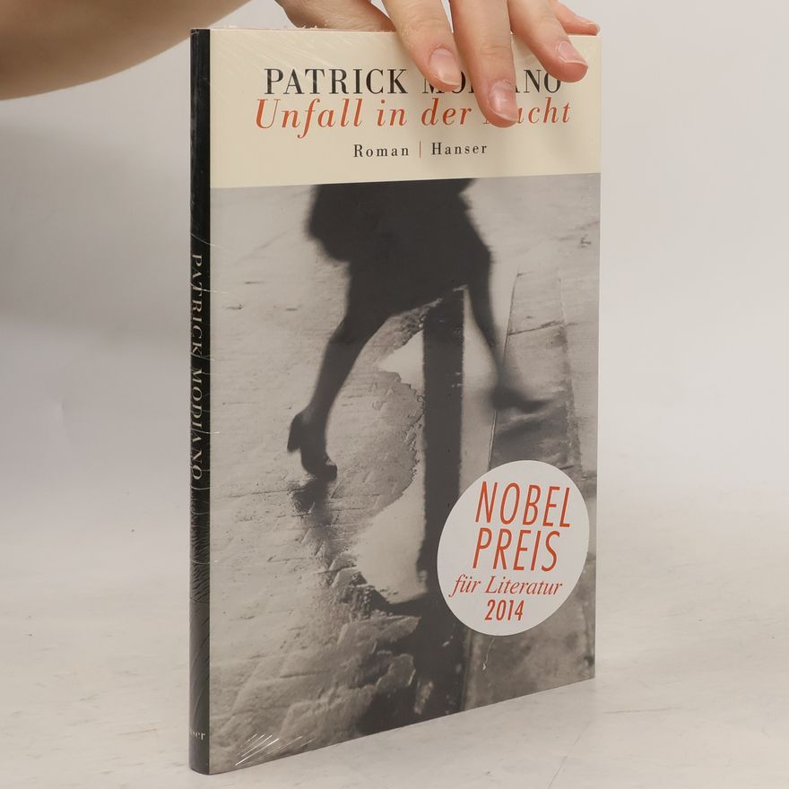Patrick Modiano Unfall in der Nacht