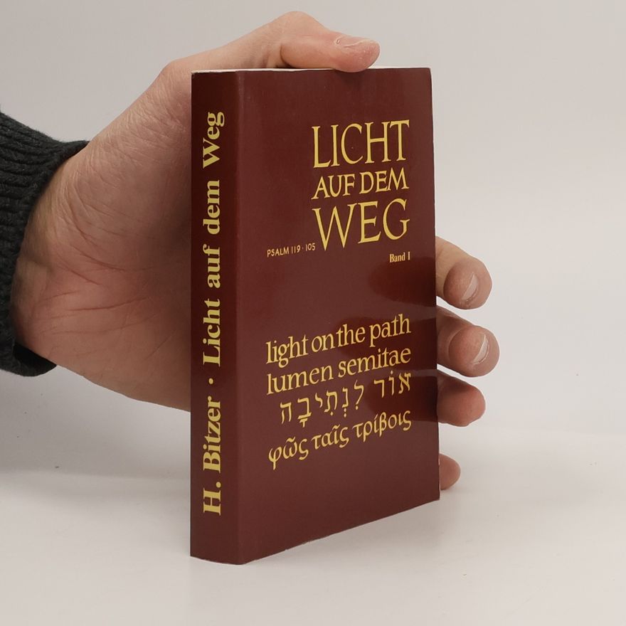 Heinrich Bitzer Licht auf dem Weg