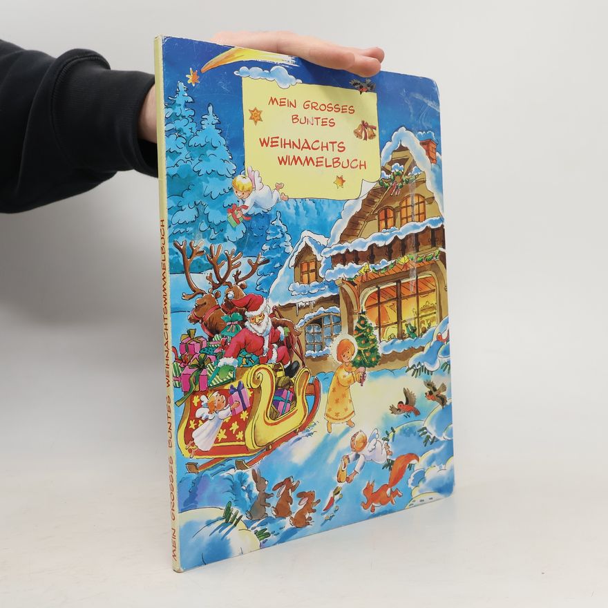 Autorenkollektiv Mein großes buntes Weihnachts-Wimmelbuch