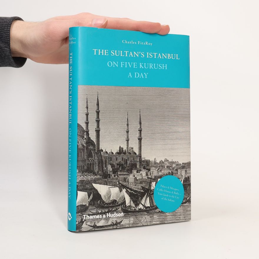 Charles FitzRoy The Sultan's Istanbul on 5 Kurush a Day