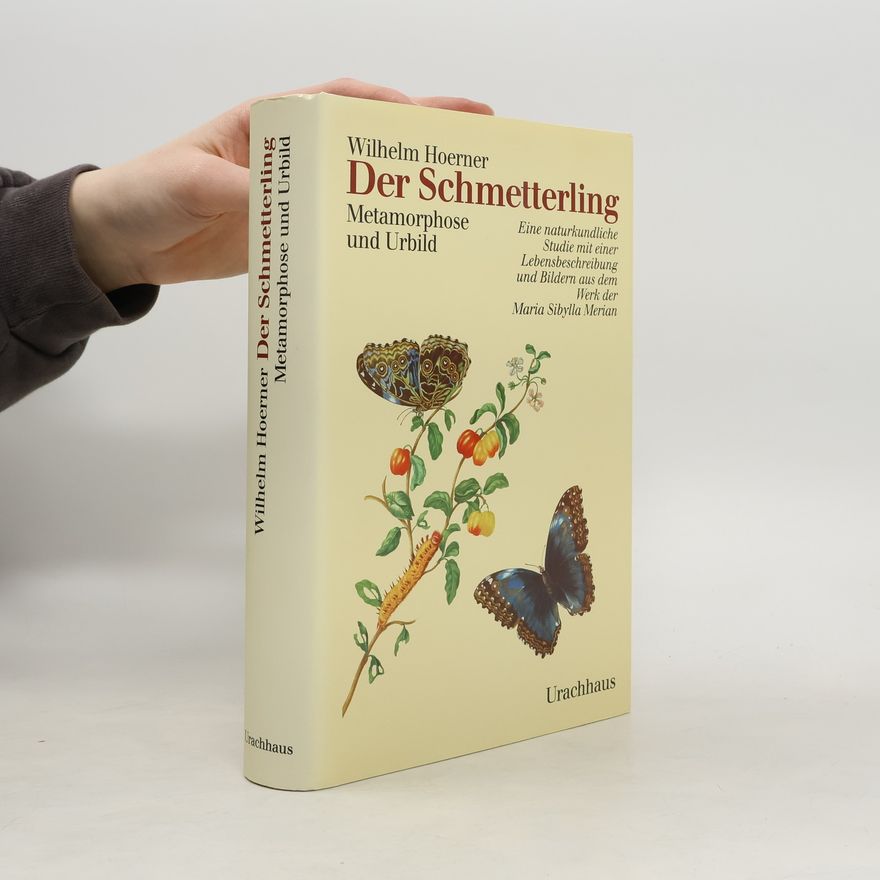 Wilhelm Hoerner Der Schmetterling