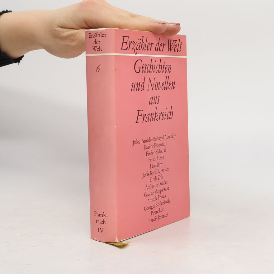 Autorenkollektiv Erzähler der Welt 6. Geschichten und Novellen aus Frankreich